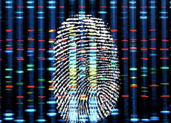 Dấu vân tay ADN là gì?